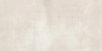 Wit