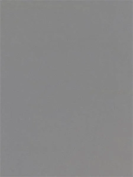 Wandtegel 150X200 Donkergrijs 5,3mm Glans