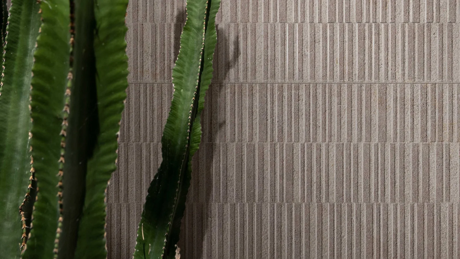 WAtegel Decor 330X1000 Beige 10mm Mat Ret.
