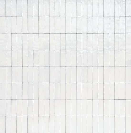 Wandtegel 050X150 Bianco 10mm Glans