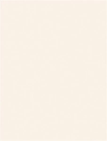 Wandtegel 250X330 Wit 8.3mm Glans