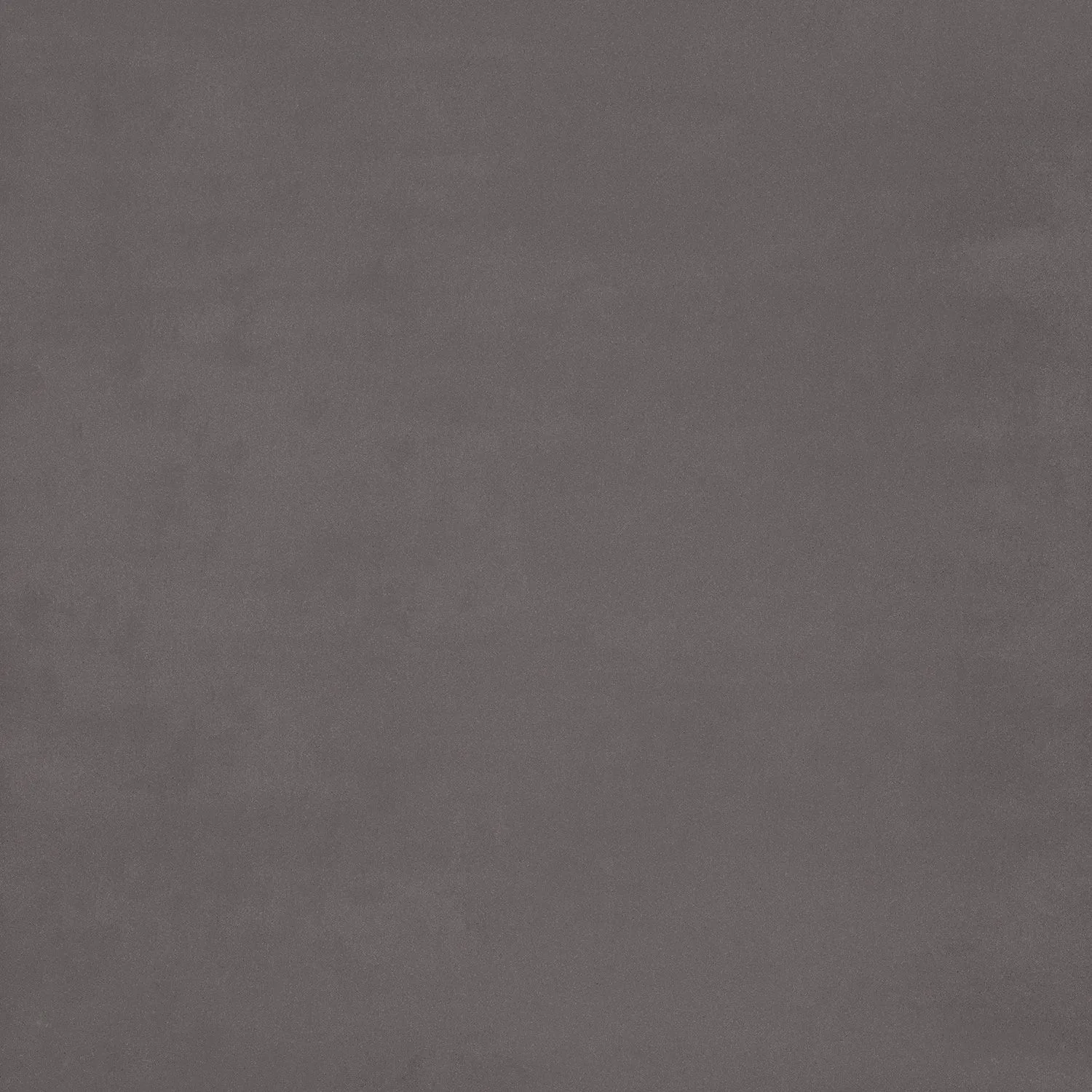 Mosa Greys Antraciet mat 60x60