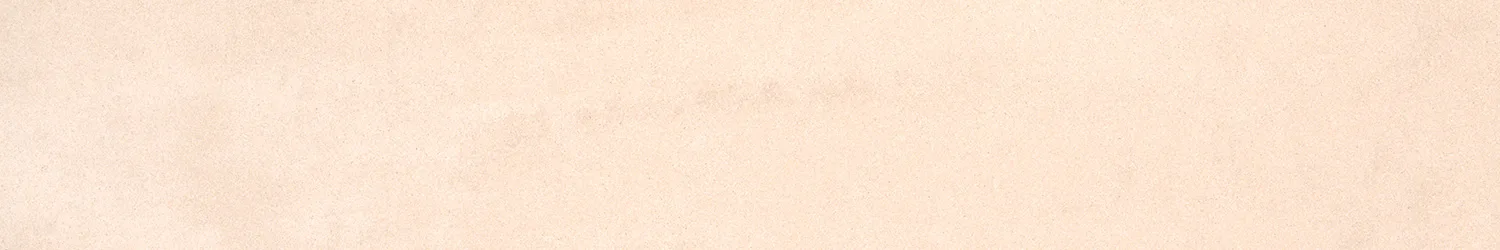 Mosa Beige&Brown Beige mat 10x60